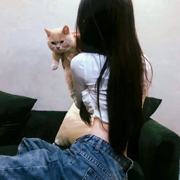 合约情人